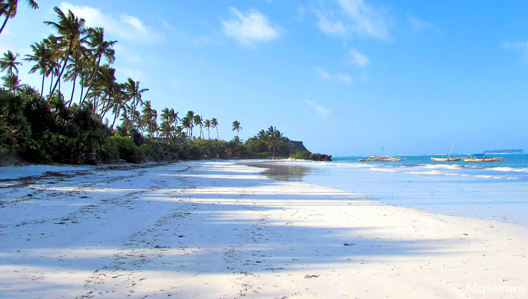 Beach in Zanzibar