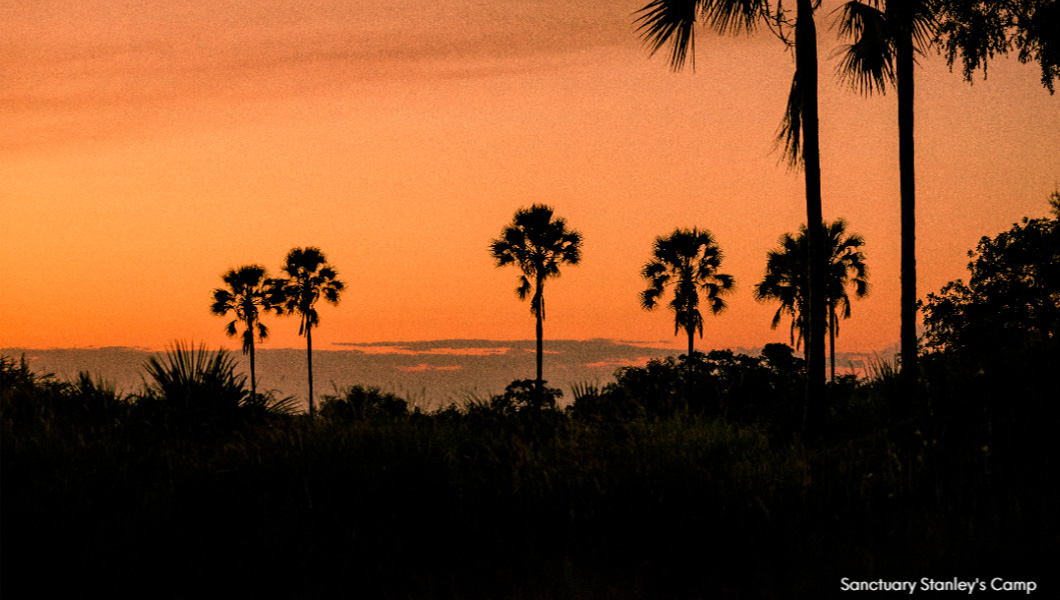 Sunset at Stanley's Camp