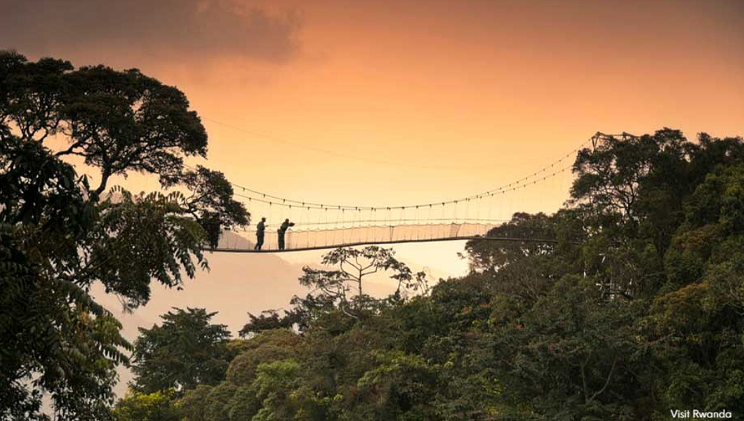 Nyungwe Forest - Canopy Walk