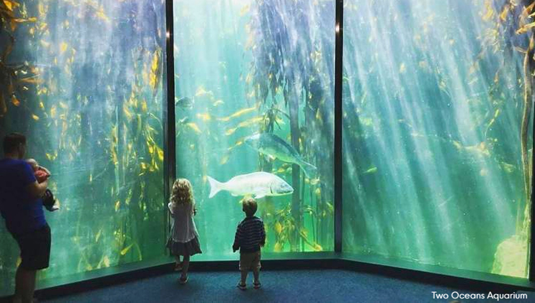 Two Oceans Aquarium