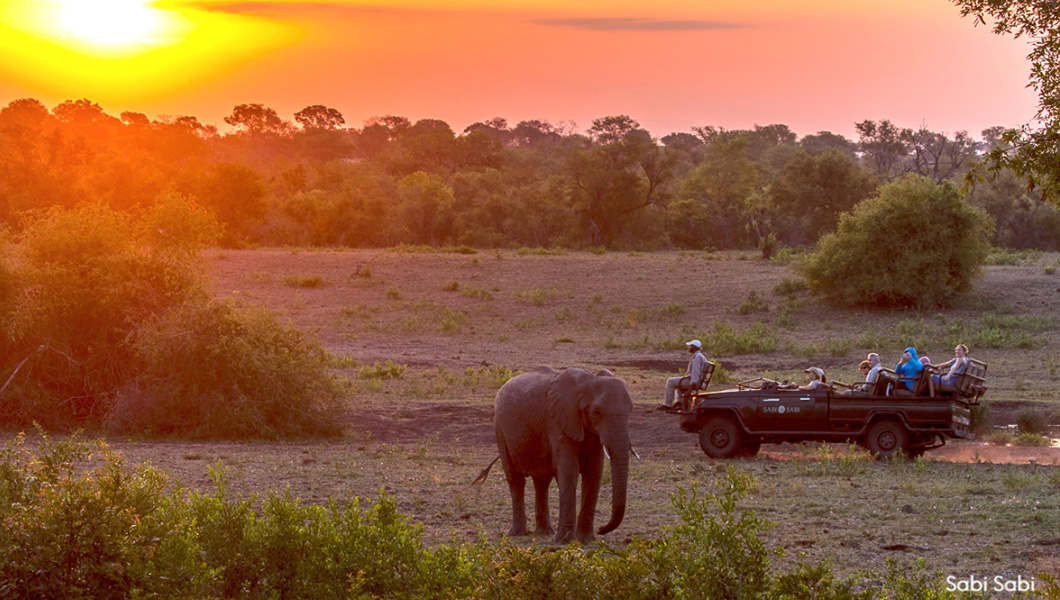 Sunset Game Drive at Sabi Sabi