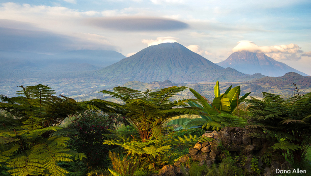 Sabinyo Silverback - View from Lodge