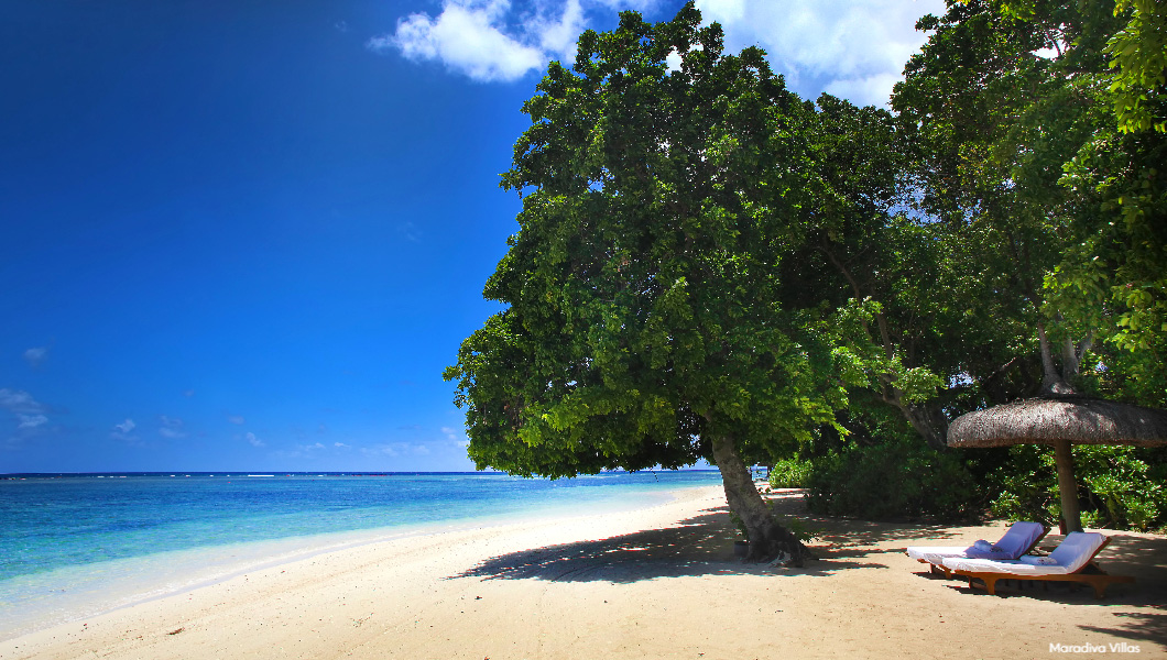 Mauritius Beach