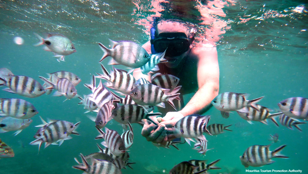 Snorkeling in Mauritius