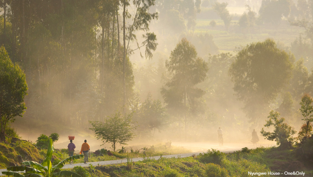 Nyungwe Forest