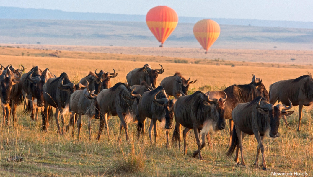 Serengeti National Park