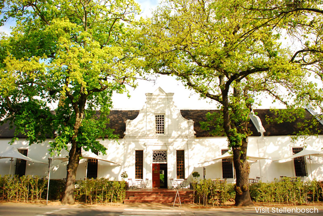 Stellenbosch Wine Tour