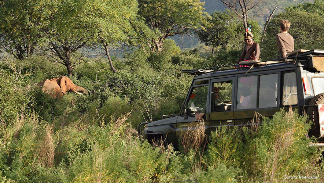 Game Drive at Sarara