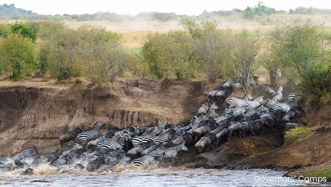 Migration in Kenya