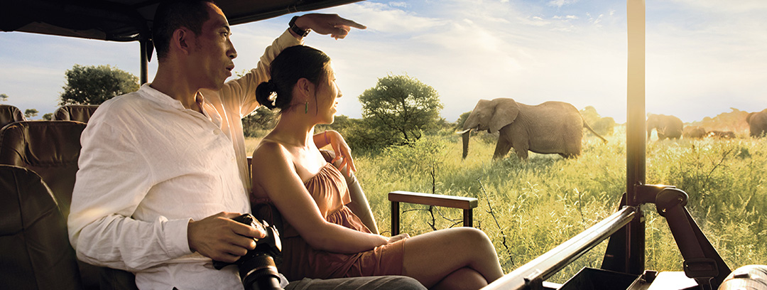 African Dream Honeymoon Safari Couple