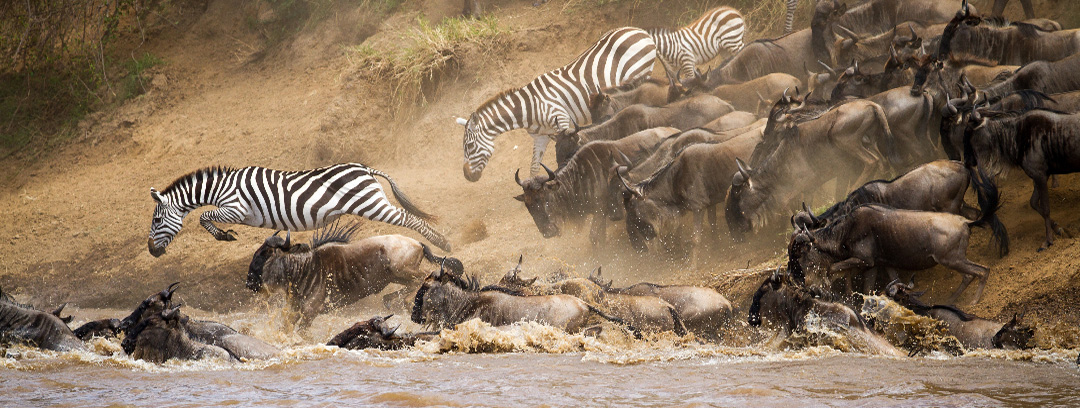 Migration in Kenya