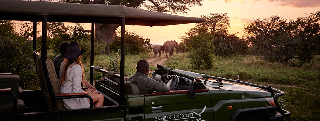 Victoria Falls Game Drive