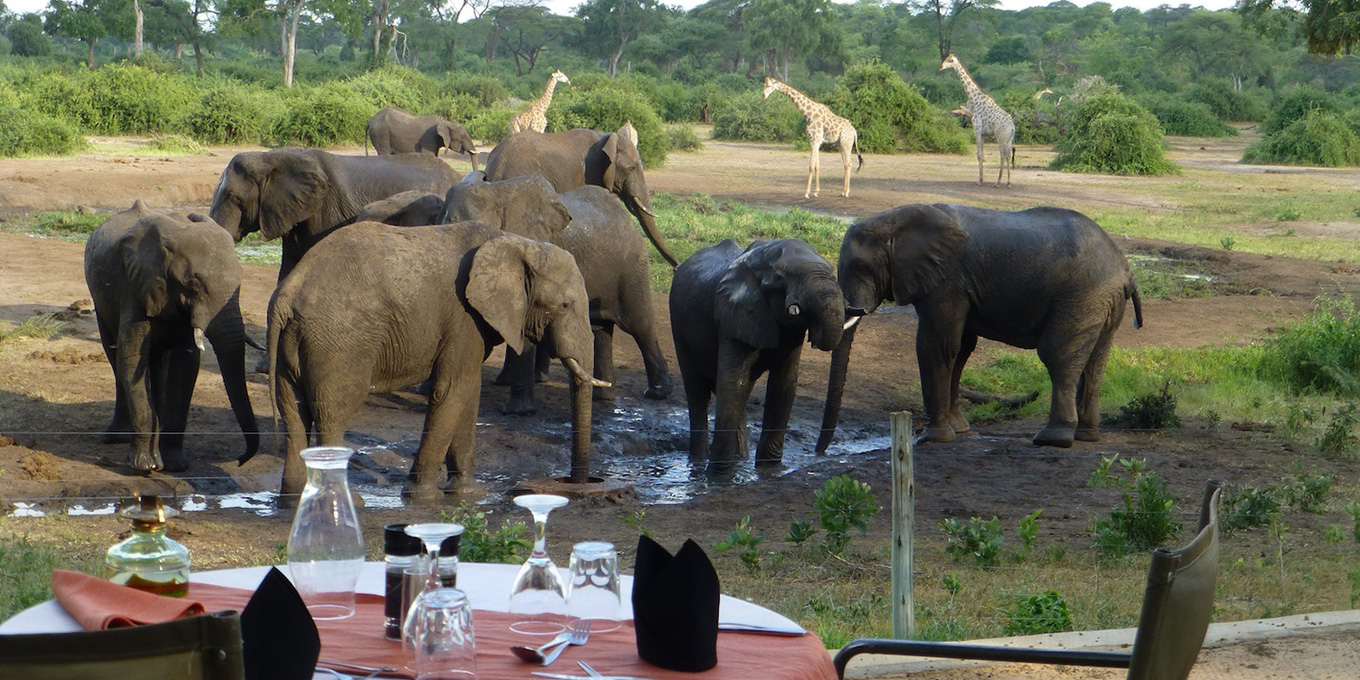 Elephant Valley Lodge - Dining