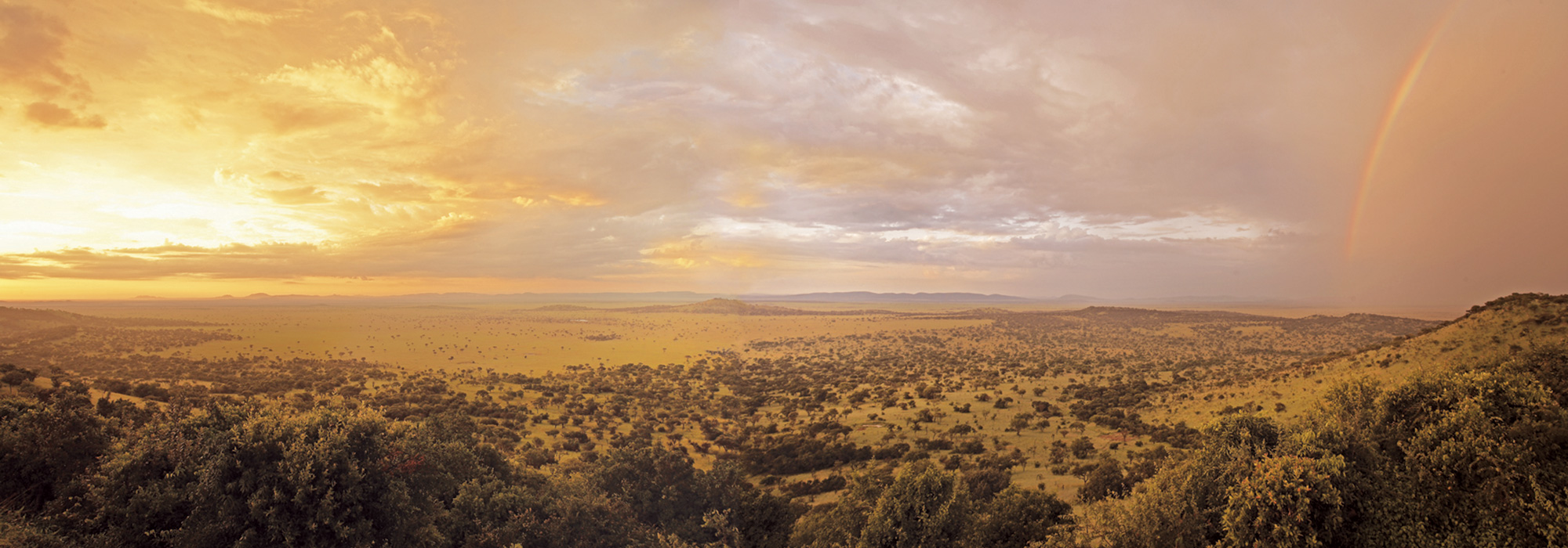 Serengeti Rainbow