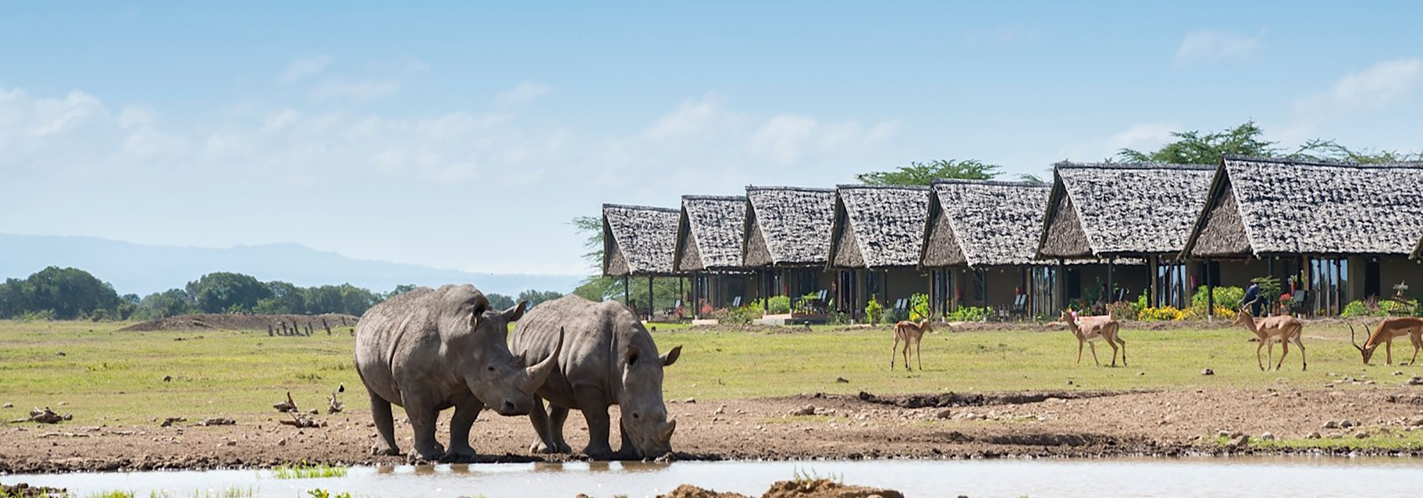 Rhinos at Sweetwaters