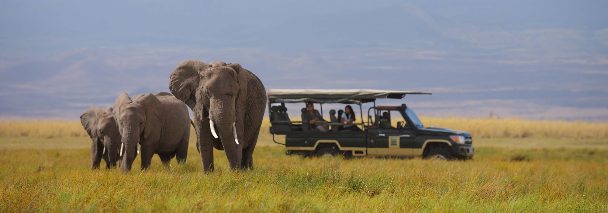 Game Drive in East Africa