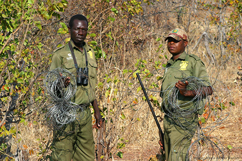 Africa Albida Tourism