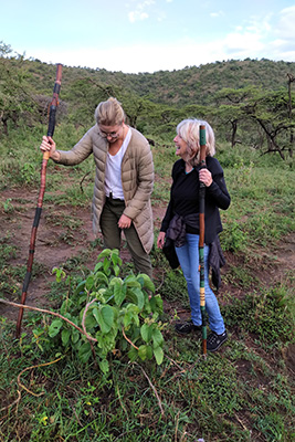 Nature Walk in Tanzania