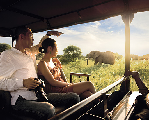 African Dream Honeymoon Safari