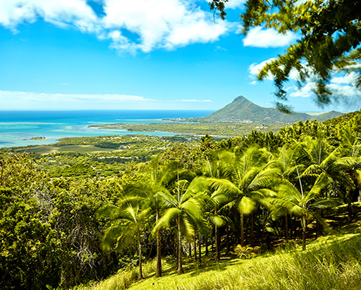 Alluring Mauritius - Tropical Honeymoon Paradise