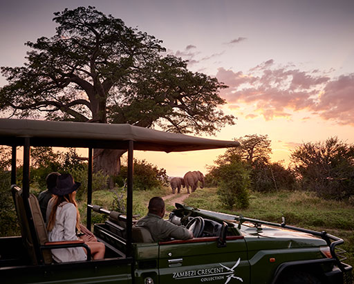 Victoria Falls Game Drive