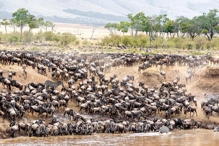 Migration in East Africa