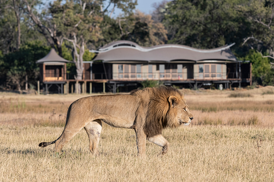 Xigera Lodge