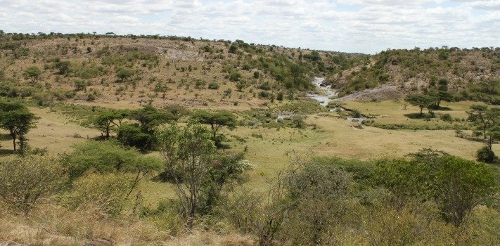 Africa Safari Kenya Mahali Mzuri