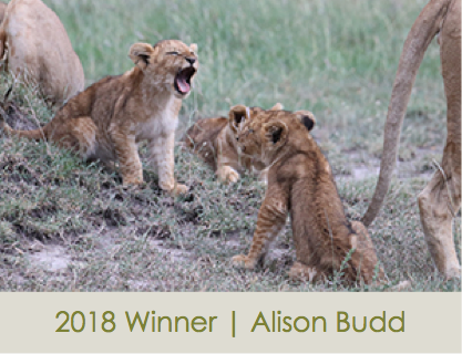 Alison Budd Winner
