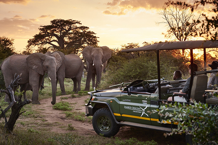 Game drive with elephants