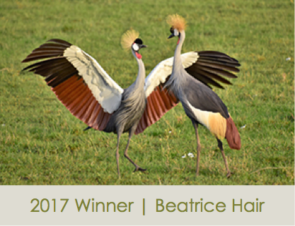 Beatrice Hair Winner