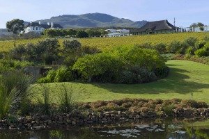 Scenic Bouchard Finlayson Wine Estate Bouchard Finlayson Wine Estate