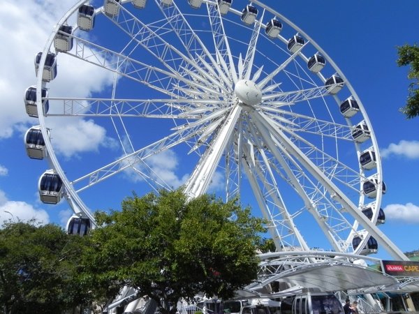 Cape Wheel