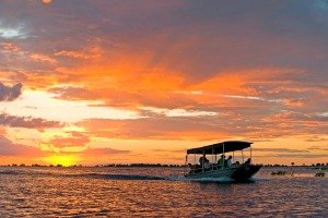 Chobe River sunset boat cruise