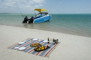 Dugong Beach Picnic