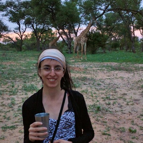 Sundowners with giraffes