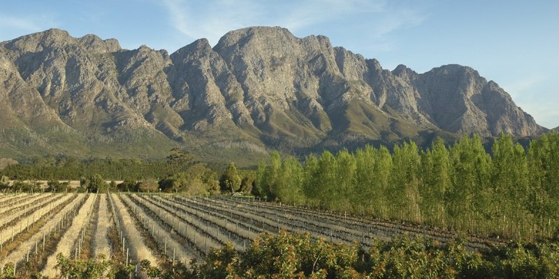 Cape Winelands