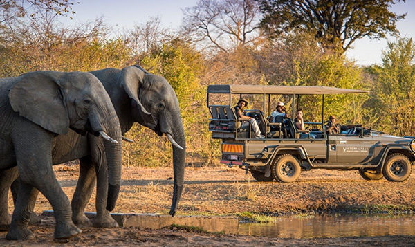 Game Drive Stanley and Livingstone