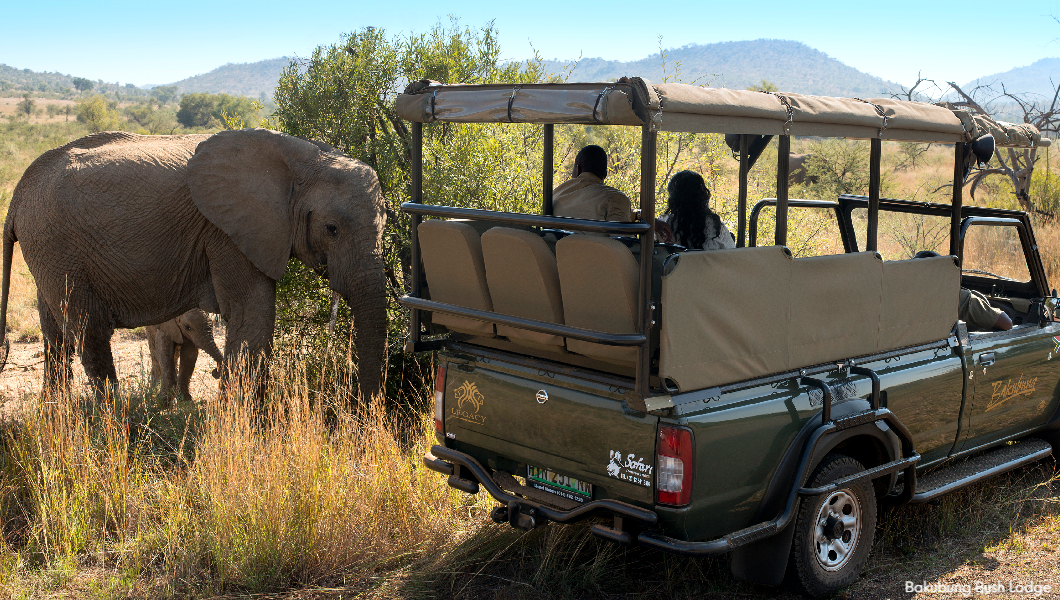 Game Drives Bakubung Bush Lodge