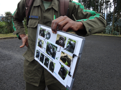 Gorilla Trek Orientation in Rwanda