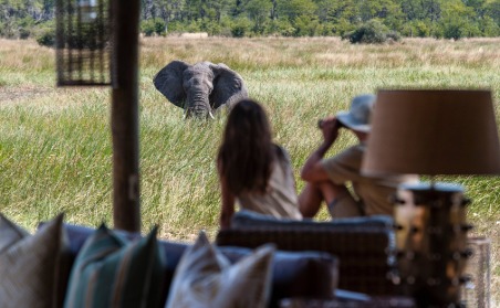 Elephant on honeymoon game Drive in Botswana.