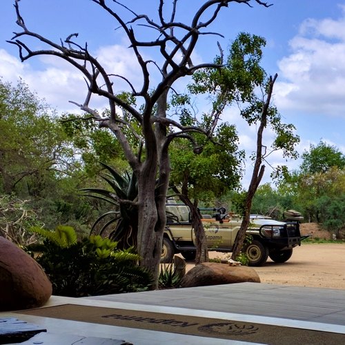 The entrance at Kapama