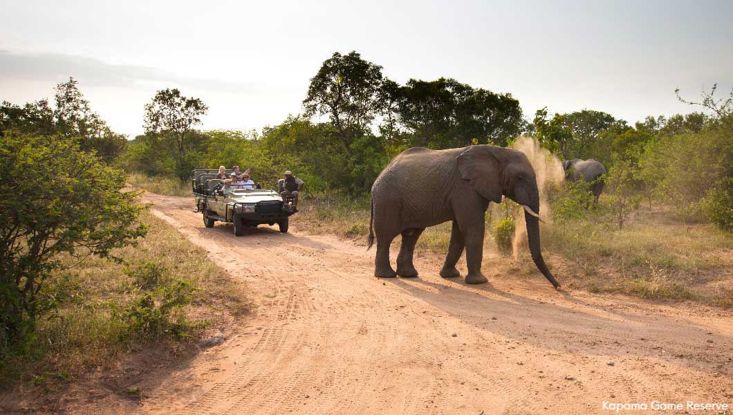 Kapama Game Reserve Safari Vehicle