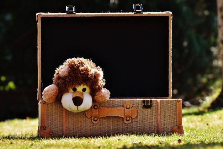 lion plush doll in luggage 