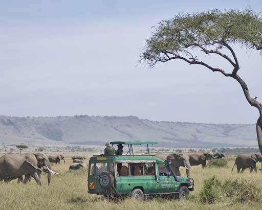 Game Drive Mara Serena Safari Lodge