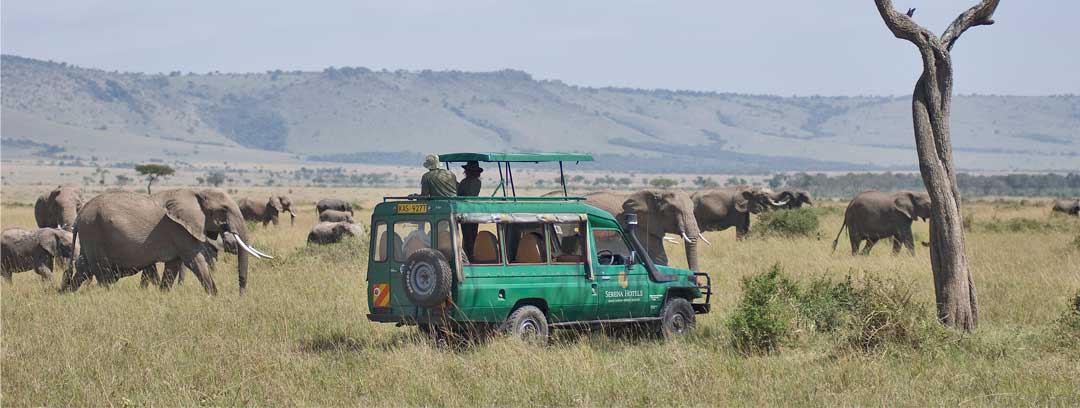 Game Drive Mara Serena Safari Lodge