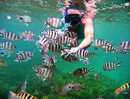 Snorkelling in Mauritius