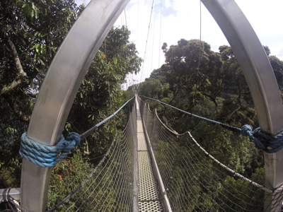 Suspension Bridge on the Nyungwe Forest Canopy Walk in Rwanda