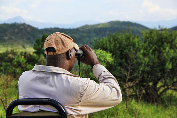 man on looking through binoculars on safari 