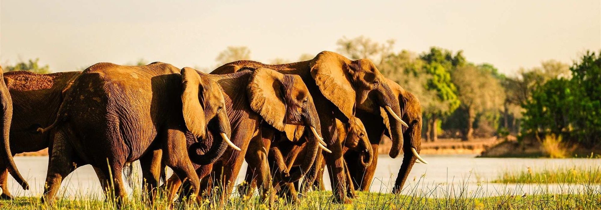Top 3 national parks in zambia